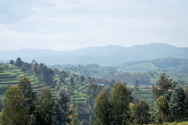 View of Butaro from UGHE Campus Site